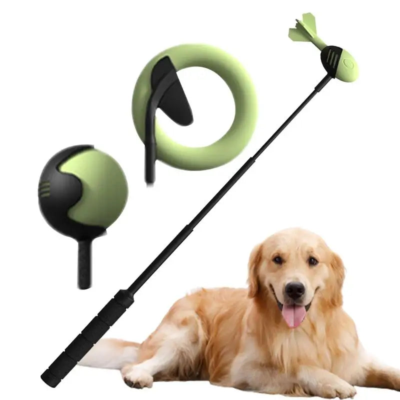 Dog Hand Throwing Stick