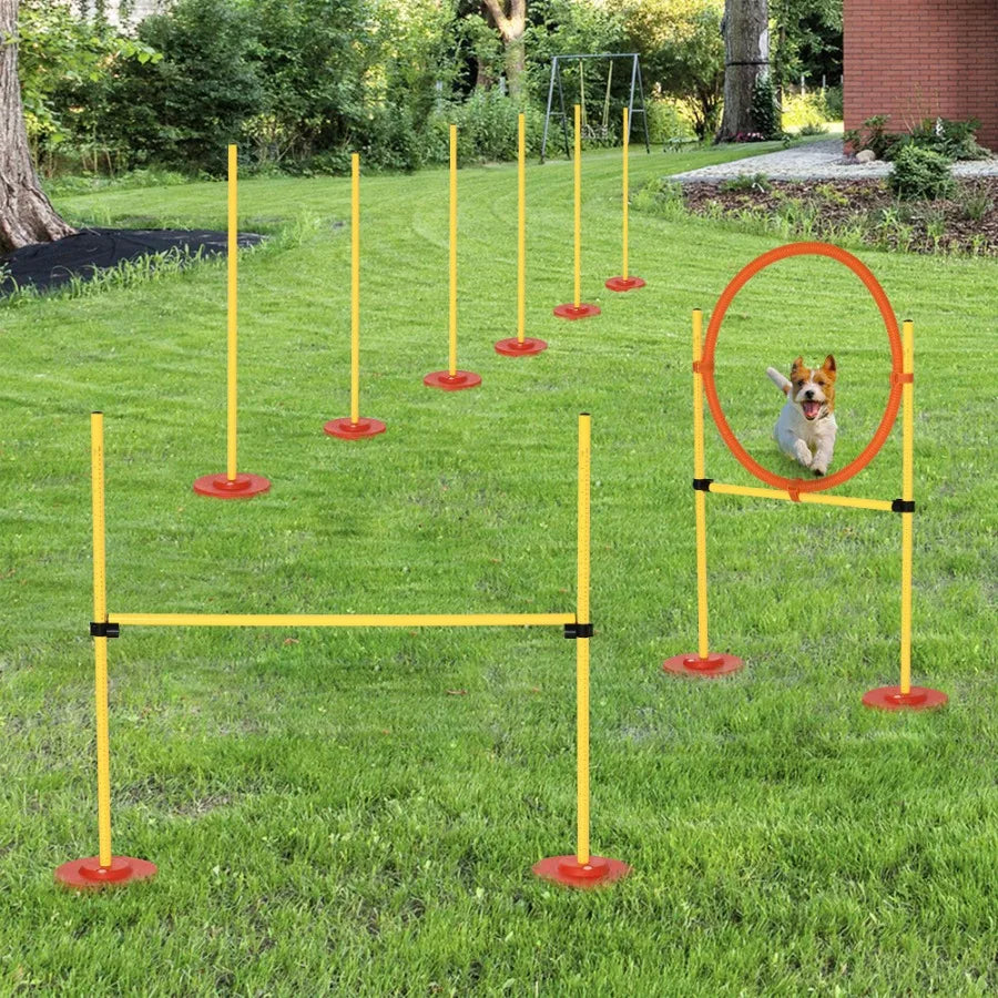 Dog Agility Outdoor Obstacle Course