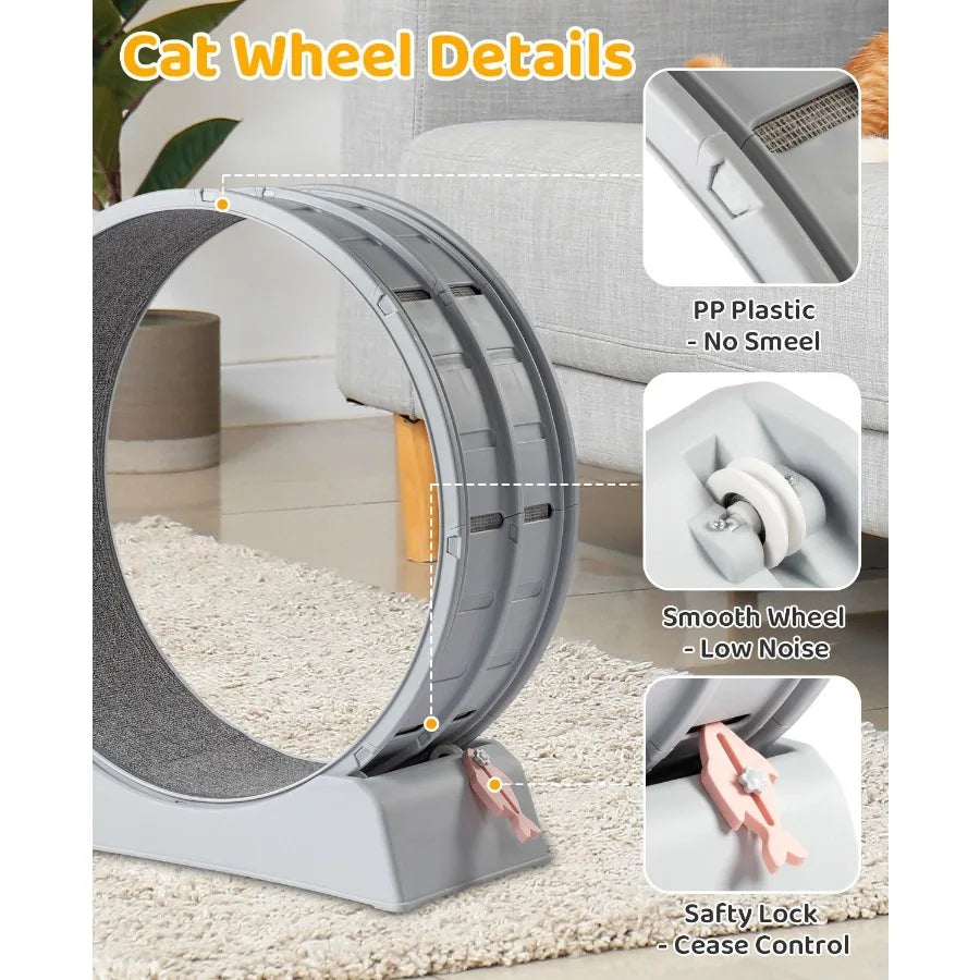 Cat Treadmill