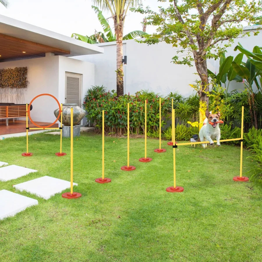 Dog Agility Outdoor Obstacle Course