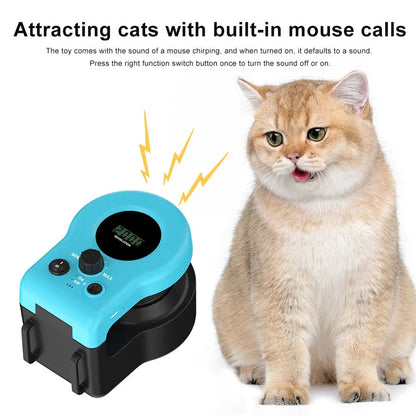 Cat Chase Run Exercise Toy