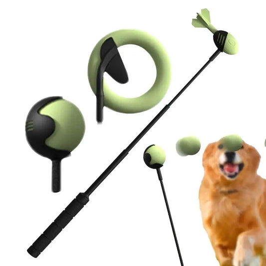 Dog Hand Throwing Stick