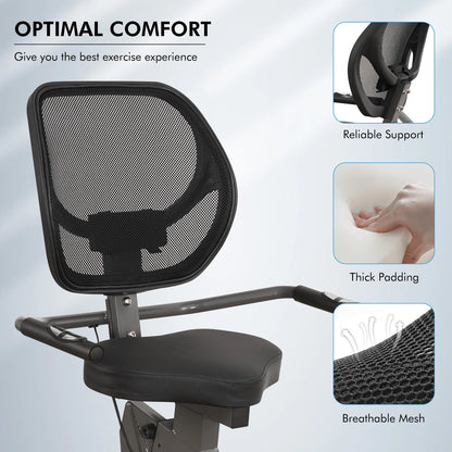 Recumbent Exercise Bike