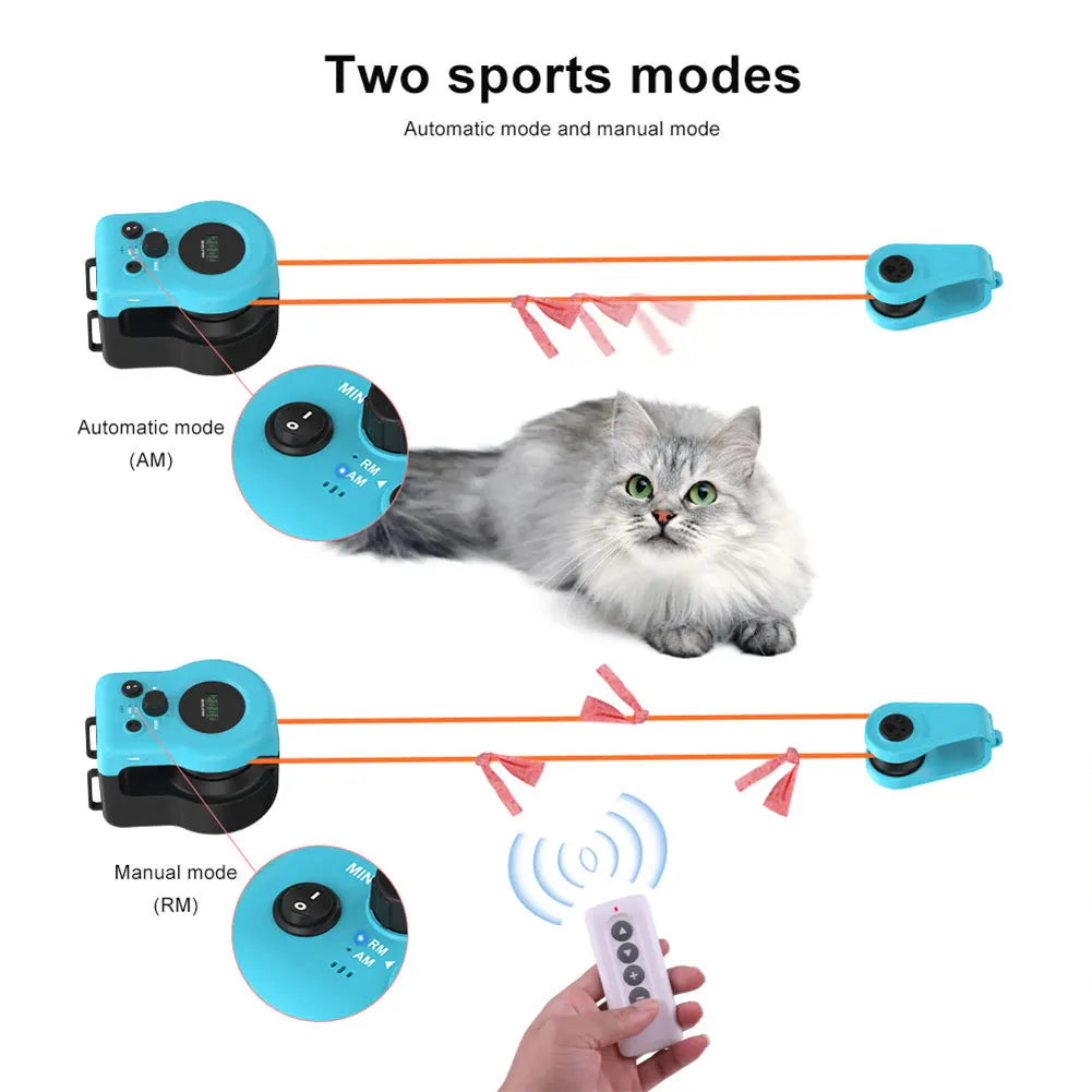 Cat Chase Run Exercise Toy