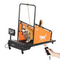 Electric Dog Treadmill