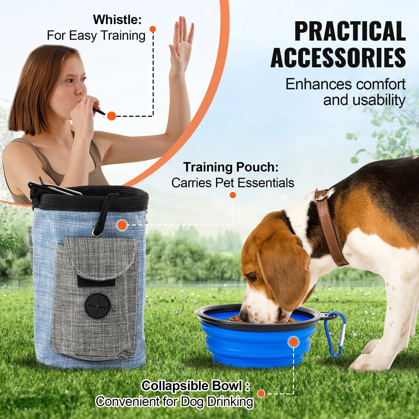 Dog Agility Training Course