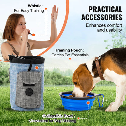 Dog Agility Training Course
