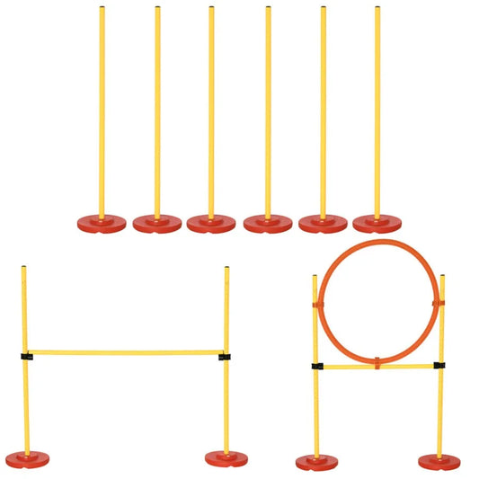 Dog Agility Outdoor Obstacle Course