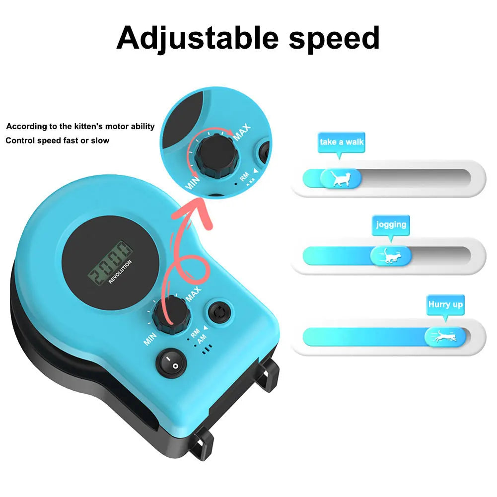 Cat Chase Run Exercise Toy