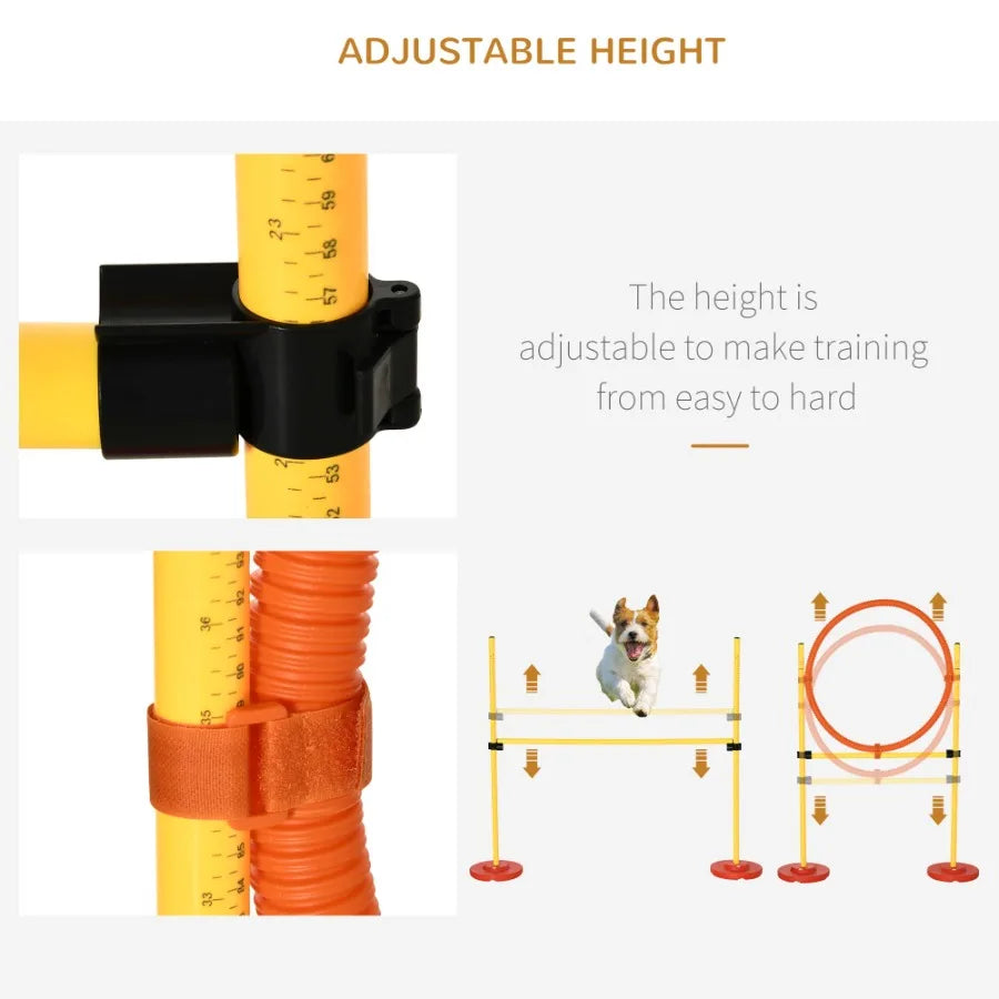 Dog Agility Outdoor Obstacle Course