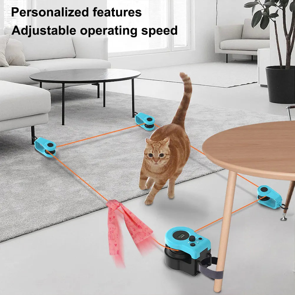Cat Chase Run Exercise Toy