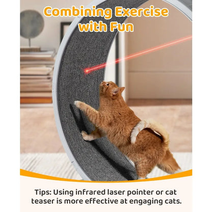 Cat Treadmill