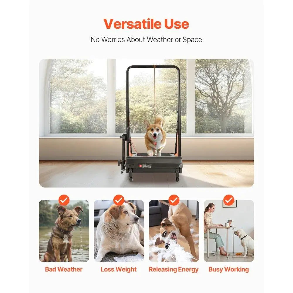 Electric Dog Treadmill