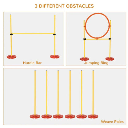 Dog Agility Outdoor Obstacle Course