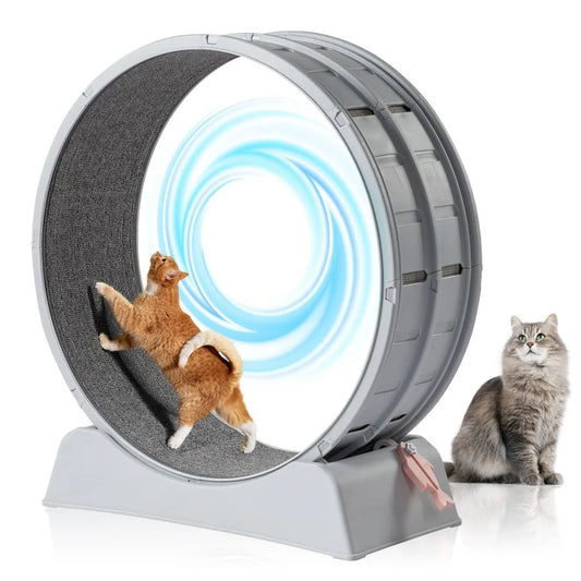 Cat Treadmill