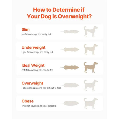 Electric Dog Treadmill