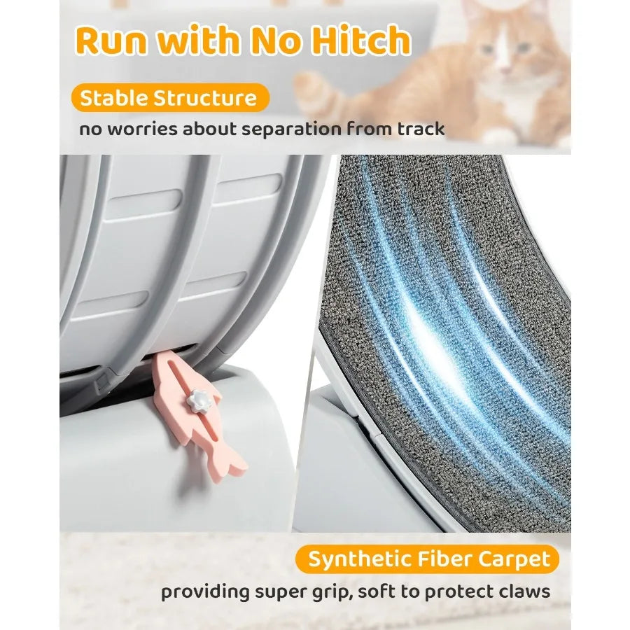 Cat Treadmill