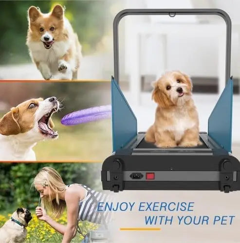 Small and Medium Dog Folding Treadmill