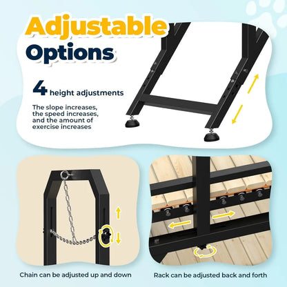 75" Large Dog  4 Level Treadmill for Dogs