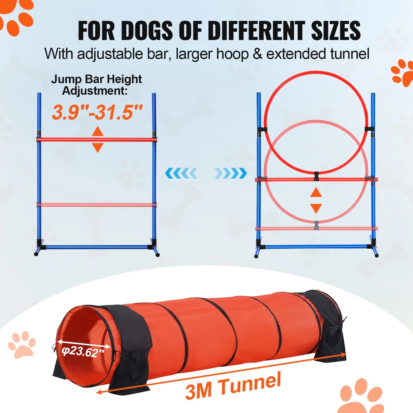 Dog Agility Training Course