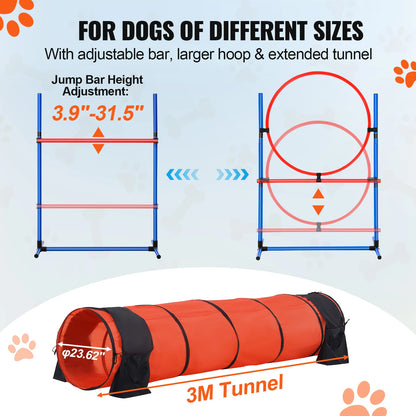 Dog Agility Training Course