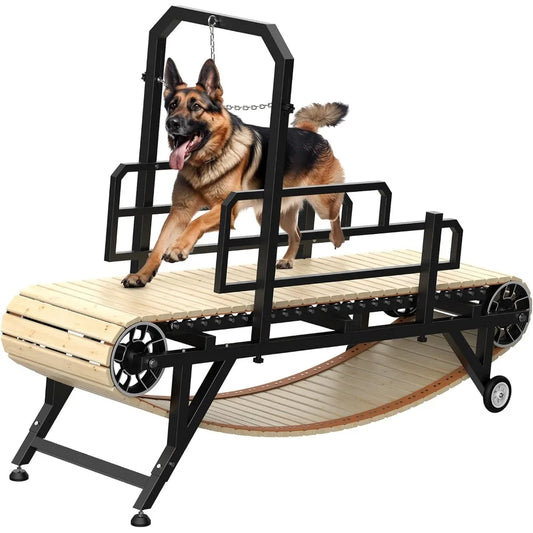 75" Large Dog  4 Level Treadmill for Dogs