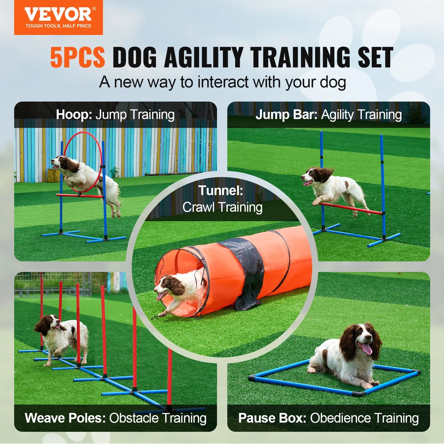 Dog Agility Training Course