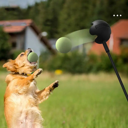 Dog Hand Throwing Stick