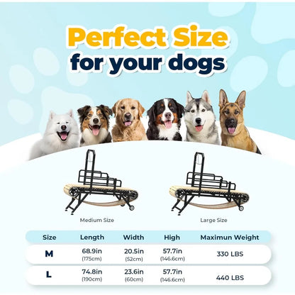 75" Large Dog  4 Level Treadmill for Dogs
